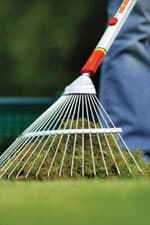 Image of Wolf Garten Multi Change® Springtine Rake UAM Use With Multi Change Handle 