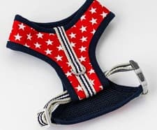 Image of Hugo Hudson Red Stars Harness - Small