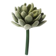 Image of Unpotted Succulent Artificial Succulents Cactus Plants