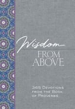 Image of Wisdom from Above: 365 Devotions from the Book of Proverbs by Brian Simmons: New