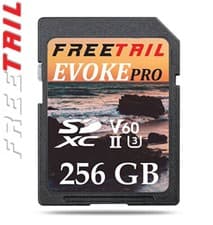 Image of FreeTail 256GB Class 10 MicroSDXC UHS-I Memory Card with SD Adapter EvokePro