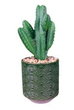 Image of Artificial Cactus with Green Ceramic Planter 23cm