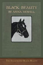 Image of The Illustrated Black Beauty: 100 Illustrations