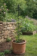 Image of Blacksmith Spiral Plant Support 140cm Metal Stake Tomato Climbing Garden