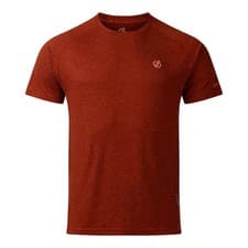Image of Dare 2b Mens Persist Lightweight T-Shirt Arabian Spice