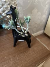 Image of Giraffe Ornament  Brand New With Tags