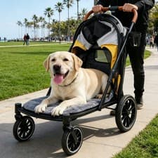 Image of XXL Foldable Pet Dog Stroller Rolling Dogs Carrier for Senior Old Pet up to 42KG