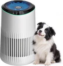Image of Air Purifier Allergy Home Bedroom Office HEPA Filters with Aromatherapy Diffuse