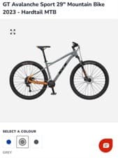 Image of mens gt mountain bike
