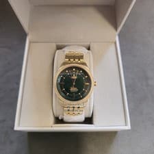 Image of Vivienne Westwood East End Ladies Watch VV262GRGD 2025 RRP £325