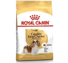 Image of ROYAL CANIN ADULT CAVALIER KING CHARLES 1.5KG, 7.5KG dry dog food rc breed meals