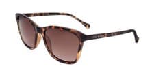 Image of Ted Baker TB1440 Tort. 55/16/140 WOMAN Sunglasses