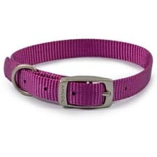 Image of Ancol Nylon Collar Purple