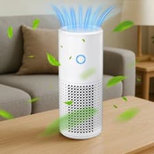 Image of Portable Air Purifier for Home Allergies Pets Hair Bedroom True HEPA Air Cleaner
