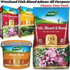 Image of Westland Fish Blood &Bone All Purpose Health Plant Food Fertiliser Strong Growth