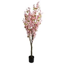 Image of Artificial Cherry Blossom Tree Large Indoor Black 180cm (6ft) Realistic Premium