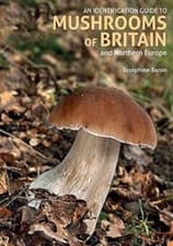 Image of An Identification Guide to Mushrooms of Britain and Northern Europe (2Nd Edition