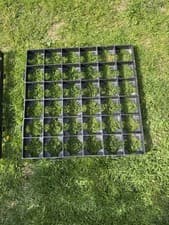 Image of Square Plastic Shed Base 50 In Total