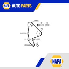 Image of Timing Belt 5588XS Gates 0816E4 94640343 9464034380 96406692 9640669280 Quality