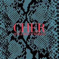 Image of CHER IT'S A MAN'S WORLD DELUXE EDITION ALBUM 25 LISTINGS AUDIO MUSIC CD New