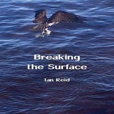 Image of Breaking the Surface Ian Reid Paperback Ginninderra Press