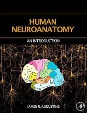 Image of Human Neuroanatomy - 9780120682515