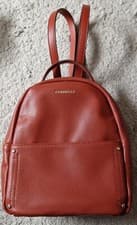 Image of Fiorelli Backpack Spice Colour