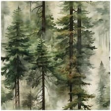 Image of HAOKHOME Forest Wallpaper Self Adhesive Tree Wall Paper Wood Removable for Be...