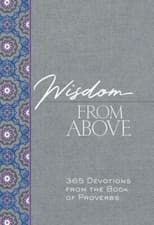 Image of Wisdom from Above : 365 Devotions from the Book of Proverbs by Brian Simmons ...