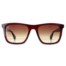 Image of Ted Baker Sunglasses TB1680 Filipe 249 Crystal Dark Wine Brown Gradient