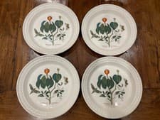 Image of PORTMEIRION BOTANIC GARDEN HARMONY PLATES SET X 4 MANCHINEEL 8.5” LUNCHEON SALAD