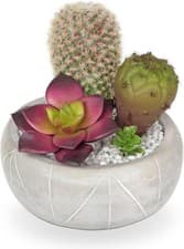 Image of Oairse Small Artificial Cactus Plant in Cement Pots Assorted Artificial Succule