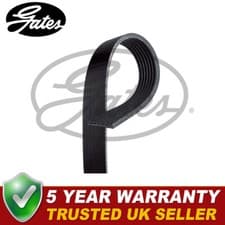 Image of Gates V-Ribbed Belts Fits Nissan Juke Renault Megane Scenic - 7PK1125