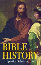 Image of Illustrated Bible History of the Old and New Testaments - Paperback NEW Ignatius