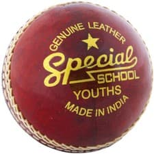 Image of Readers Special School Cricket Ball