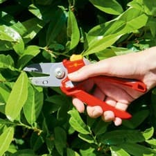 Image of WOLF GARTEN ANVIL COMFORT PLUS SECATEURS
