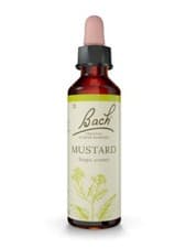 Image of Nelsons Bach Original Flower Remedies 20ml - All Remedies Available