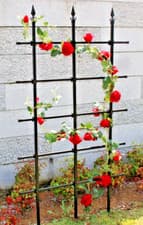 Image of H1.8m x W0.9m Black Metal Expandable Garden Trellis Climbing Plant Support Fence