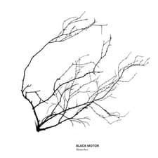 Image of *PRESALE* BLACK MOTOR: BRANCHES - CD