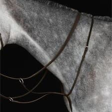 Image of Collegiate Running Martingale IV - Brown