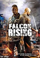 Image of Falcon rising (DVD)