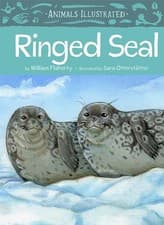 Image of Animals Illustrated: Ringed Seal by William Flaherty 9781772273700 NEW