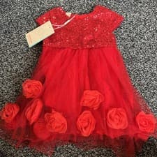 Image of Monsoon Baby Girls Shimmery Next And Sequin Dress With Rose Flowers.  BNWT.