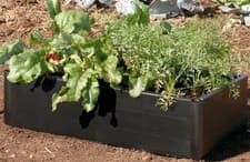 Image of GARLAND Mini Raised Grow Bed 115 Litre Box Planter Fruit Vegetable Herb Growing