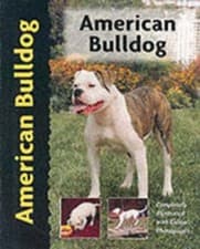 Image of American Bulldog by Abe Fishman: New
