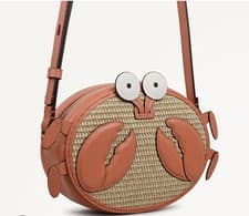 Image of Radley ‘Clawde’ Small crossbody bag, BNWT