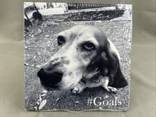 Image of #GOALS by #Goals (CD, 2017) DC-Jam Records NIB NEW SEALED