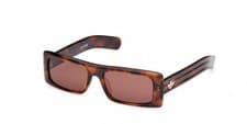 Image of Adidas Originals OR0124 Dark havana 55/16/140 UNISEX Sunglasses