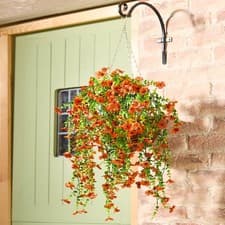 Image of Jumbo Orange Faux Trailing Morning Glory Pick, UV-Resistant Decorative Bloom 75c