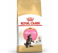 Image of ROYAL CANIN KITTEN MAINE COON BREED 400g, 2kg, 4kg or 10kg : Junior Cat Food rc 